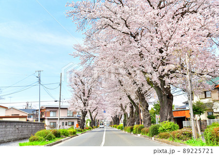 小山馬場通り(東京都町田市)【2022.4】 89225721