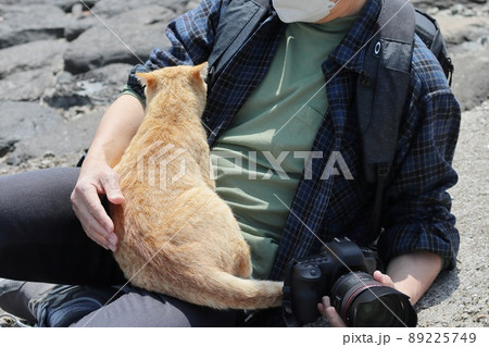猫 カメラマンの膝に座る野良猫 地域猫 ノラ猫 島の猫 猫 カメラマンの膝に座る野良猫 地域猫 ノラ猫 島の猫 89225749