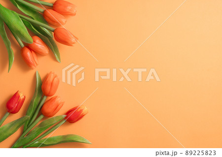 背景 バックグラウンド バックグランド 89225823