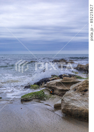 茨城県日立市　初崎海岸の岩場 89225827