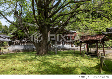 親鸞聖人のゆかりの地の一つ稲田御坊 西念寺の庭園 親鸞聖人のゆかりの地の一つ稲田御坊 西念寺の庭園 89225870