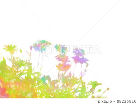 多彩な絵の具で描いた、フローラルな庭の花シルエット 89225910