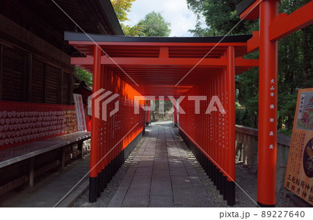 三光稲荷神社_犬山 89227640