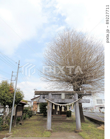 清水八幡宮 89227711