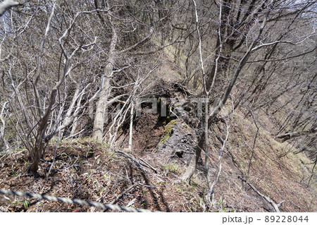 おおさる山乃家付近からツツジが峰への登山道　尾根が崩れている場所　迂回路がある　2022年4月19日 89228044