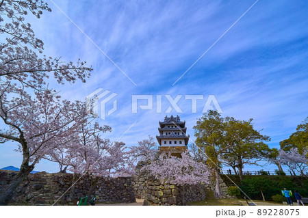 春の兵庫県洲本市の洲本城跡(模擬天守)と桜 春の兵庫県洲本市の洲本城跡(模擬天守)と桜 89228075