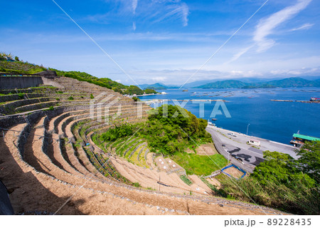 愛媛県宇和島市　遊子水荷浦の段畑 89228435