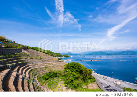 愛媛県宇和島市　遊子水荷浦の段畑 89228436