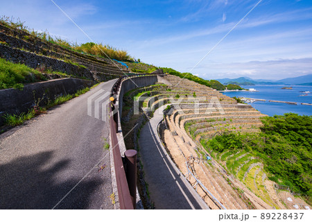 愛媛県宇和島市　遊子水荷浦の段畑 89228437