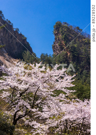 【新潟県・佐渡金山】道遊の割戸 【新潟県・佐渡金山】道遊の割戸 89228502