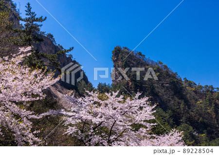 【新潟県・佐渡金山】道遊の割戸 【新潟県・佐渡金山】道遊の割戸 89228504