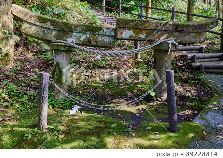 牛根麓稲荷神社の埋没鳥居 牛根麓稲荷神社の埋没鳥居 89228814