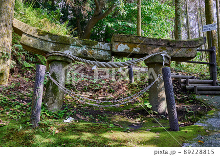 牛根麓稲荷神社の埋没鳥居 牛根麓稲荷神社の埋没鳥居 89228815