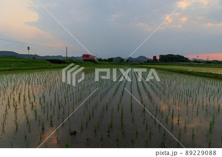 初夏の田園とローカル線の風景(夕暮れ) 初夏の田園とローカル線の風景(夕暮れ) 89229088