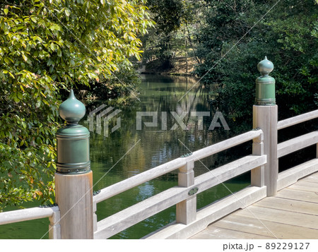 春暖の栗林公園(3月下旬) 春暖の栗林公園(3月下旬) 89229127