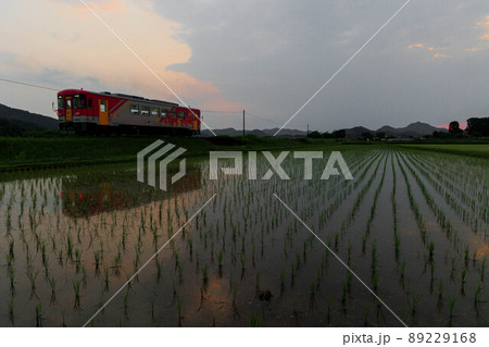 初夏の田園とローカル線の風景(夕暮れ) 初夏の田園とローカル線の風景(夕暮れ) 89229168