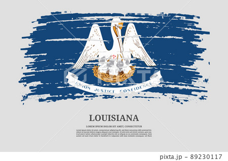 Louisiana flag with brush stroke effect and information text poster, vector 89230117
