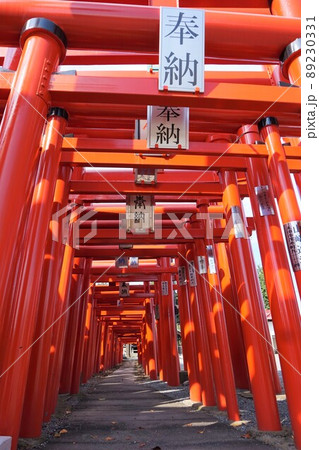 小泉稲荷神社 群馬 伊勢崎 鳥居 小泉稲荷神社 群馬 伊勢崎 鳥居 89230331