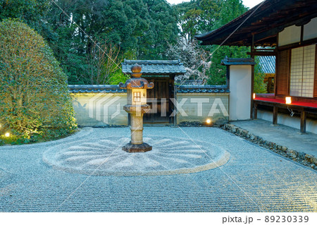京都泉湧寺雲竜院のライトアップと桜 京都泉湧寺雲竜院のライトアップと桜 89230339
