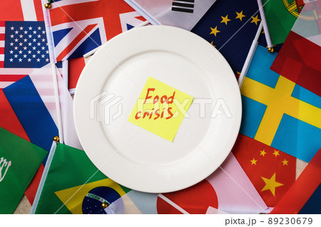 Sticker with text in a white plate on the background of the flags of different countries, the concept of the food crisis in the world 89230679