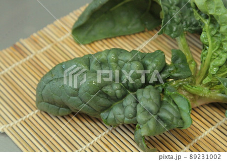 ちじみほうれん草 ちじみほうれん草 89231002