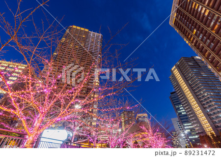目黒川冬の桜イルミネーション 東京冬風景 目黒川冬の桜イルミネーション 東京冬風景 89231472