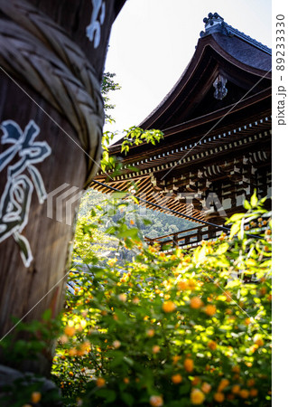 松尾大社、初夏の日差しを受けて建つ楼門を背に満開の山吹と酒樽 松尾大社、初夏の日差しを受けて建つ楼門を背に満開の山吹と酒樽 89233330