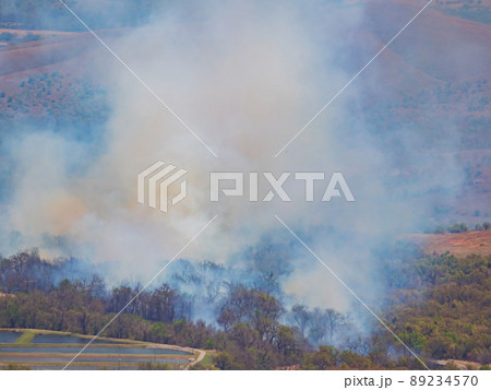 High angle view of the forest burning in Medicine Park 89234570