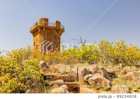 Sunny view of Lake Jed Johnson Tower 89234838