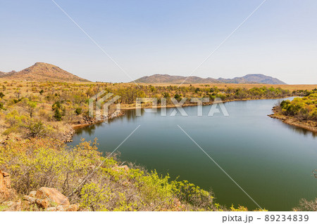 Sunny view of the Lake Jed Johnson 89234839