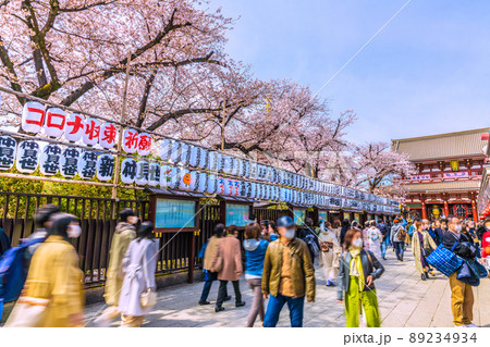 日本の東京都市景観 4月2日・桜が満開となり賑わう浅草寺・コロナ収束祈願の提灯が並ぶ＝2日 89234934
