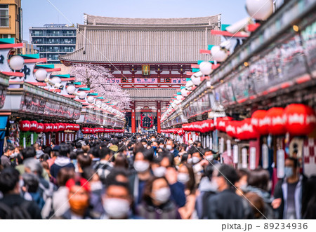 日本の東京都市景観 4月2日・桜が満開となり賑わう浅草寺。もはやコロナ禍前のような人出=2日 日本の東京都市景観 4月2日・桜が満開となり賑わう浅草寺。もはやコロナ禍前のような人出=2日 89234936