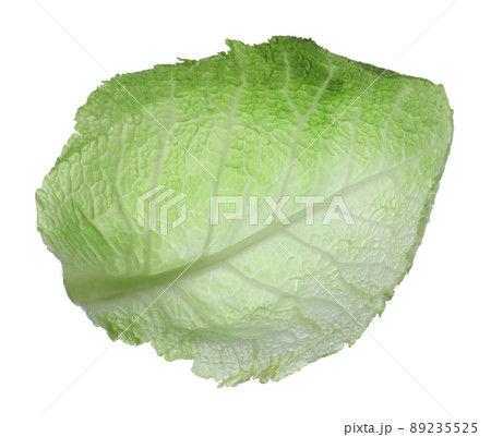 Green leaf of savoy cabbage isolated on white Green leaf of savoy cabbage isolated on white 89235525