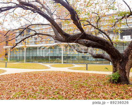 Overcast of the Liang Kuo Shu International Conference Hall of National Taiwan University Overcast of the Liang Kuo Shu International Conference Hall of National Taiwan University 89236026