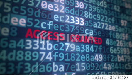 ACCESS GRANTED text and program code on the computer screen. 3D rendering 89236183