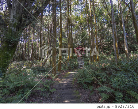 小牧山中腹の吉五郎稲荷社 小牧山中腹の吉五郎稲荷社 89237216