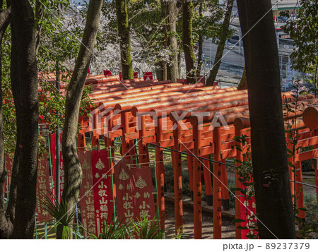 小牧山稲荷の赤鳥居 小牧山稲荷の赤鳥居 89237379