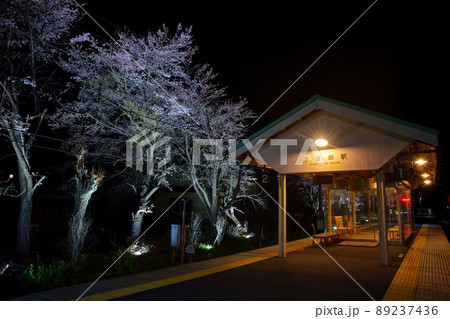 下吉田駅の夜桜 下吉田駅の夜桜 89237436