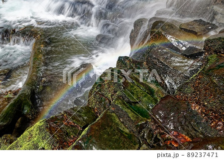 錦見の滝　[早春]5 89237471