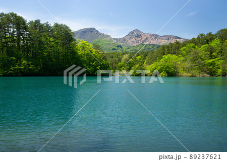裏磐梯　新緑の毘沙門沼 89237621