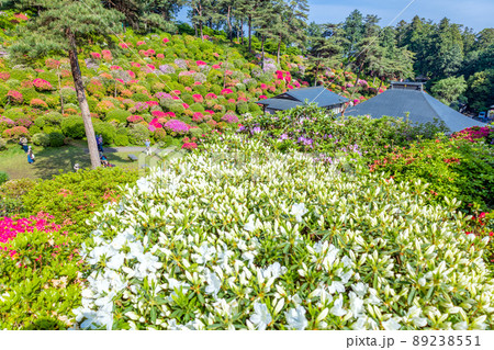 躑躅庭園と護摩堂 躑躅庭園と護摩堂 89238551