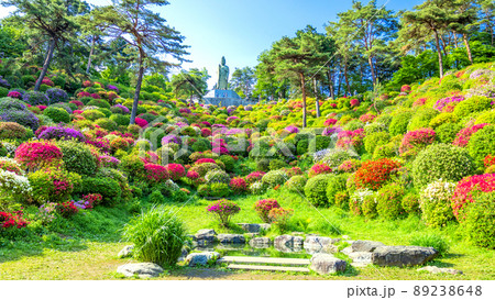 平和観音立像と躑躅庭園(16:9) 89238648