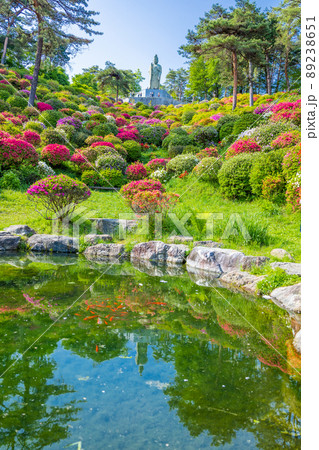 平和観音と池とつつじ園（縦） 89238651