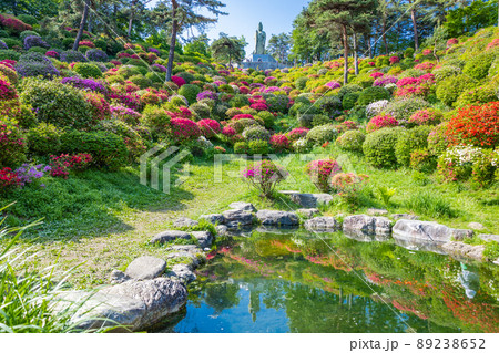 平和観音と池とつつじ園 89238652
