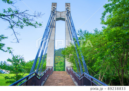 銅親水公園　銅橋　自然環境の再生　初夏の風景　　　 89238833