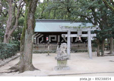 福岡市の筥崎宮西末社 福岡市の筥崎宮西末社 89238854