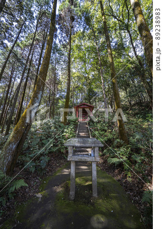 小牧山山中の吉五郎稲荷社 小牧山山中の吉五郎稲荷社 89238983