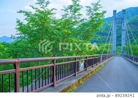 銅親水公園　銅橋　自然環境の再生　初夏の風景　　　 89239241