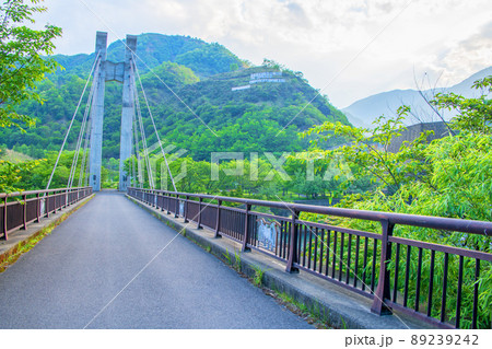 銅親水公園 銅橋 自然環境の再生 初夏の風景 銅親水公園 銅橋 自然環境の再生 初夏の風景 89239242