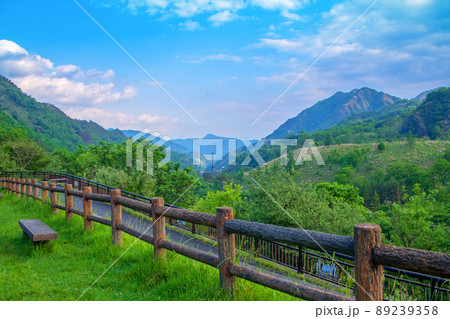 銅親水公園駐車場付近からの眺め 自然環境再生 松木渓谷下流方面 初夏の風景 銅親水公園駐車場付近からの眺め 自然環境再生 松木渓谷下流方面 初夏の風景 89239358